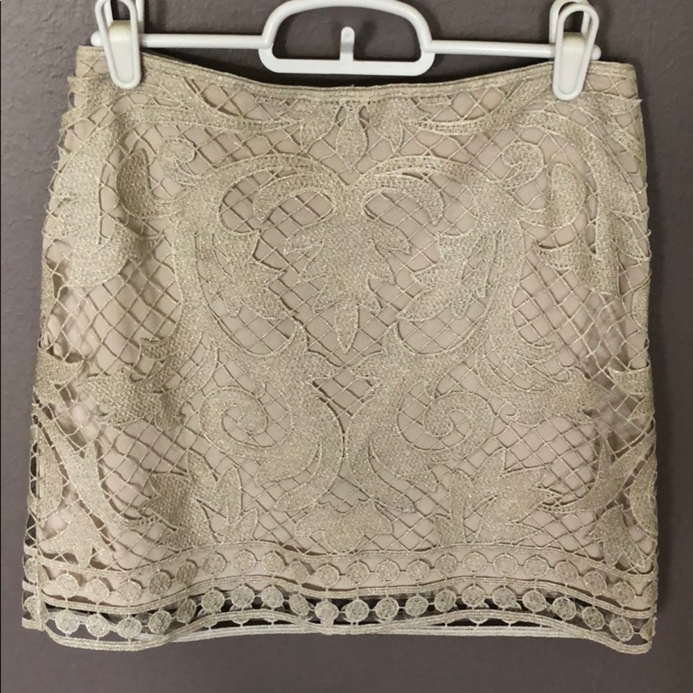 Gold Express Skirt